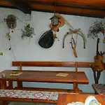 Apartament And Darinka *